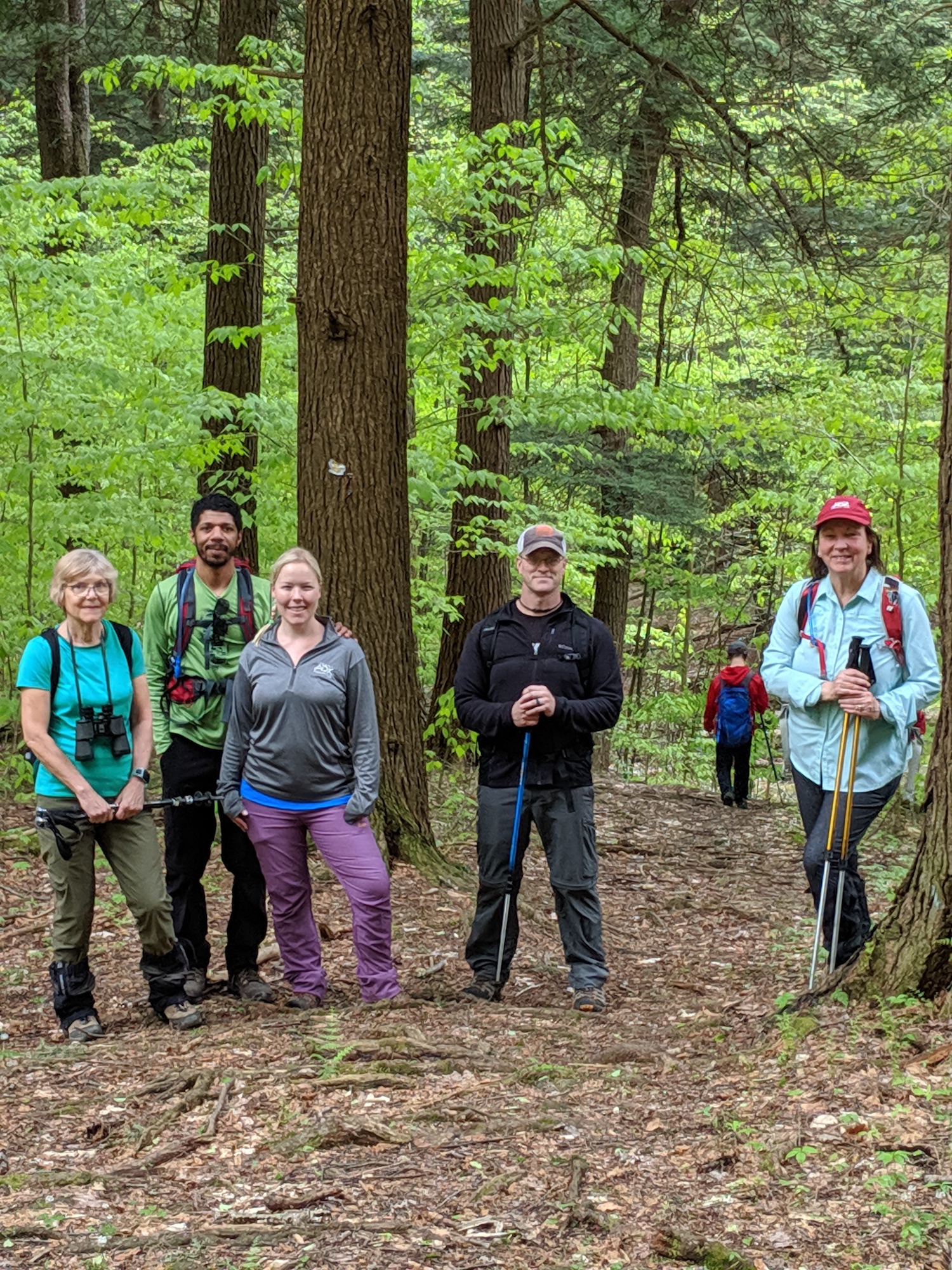 HIKE — Beehunter Trail in Allegany State Park — 5/18/19